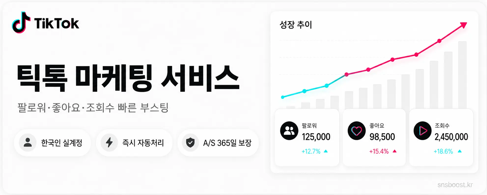 틱톡 마케팅 서비스