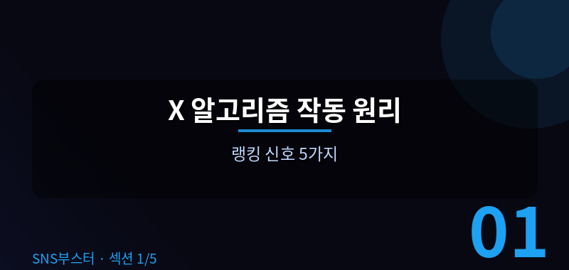 X 알고리즘, 어떻게 작동하는가? 🔍