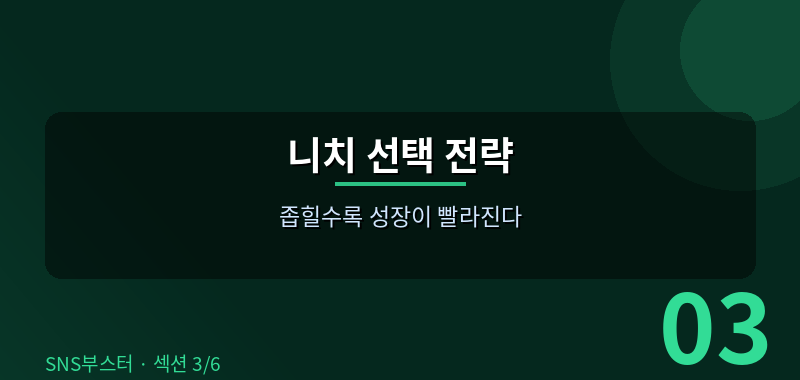 니치(Niche) 선택이 성공의 80%를 결정한다 🎯